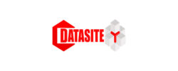 logo datasite